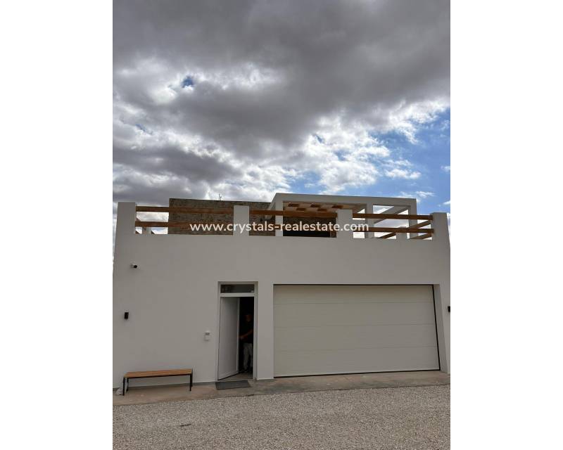 Neubau - villa - Pinoso - Casas Pastor