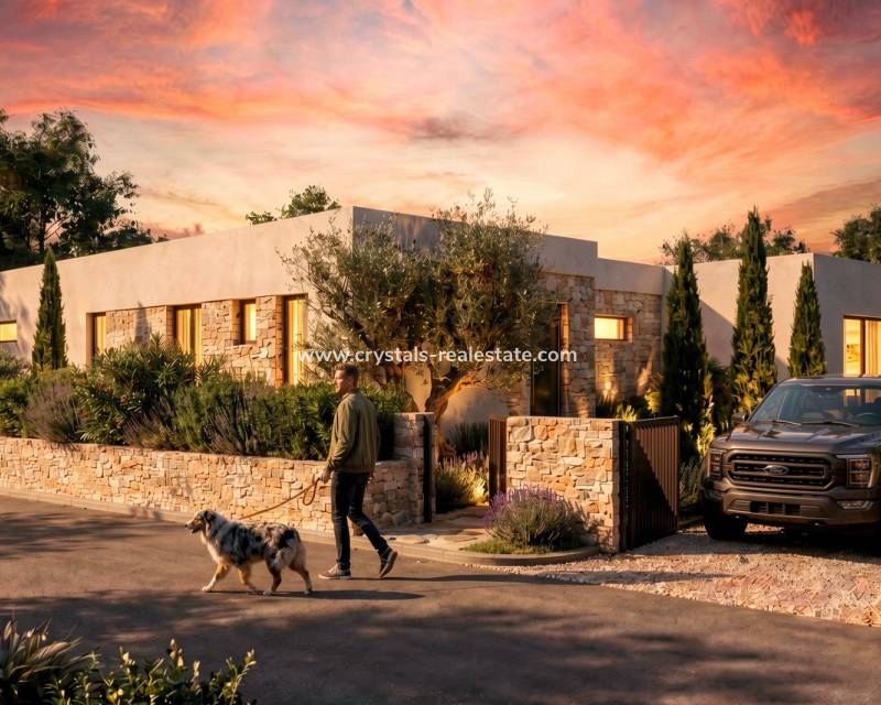 New Build - villa - Pinoso - Casas Pastor