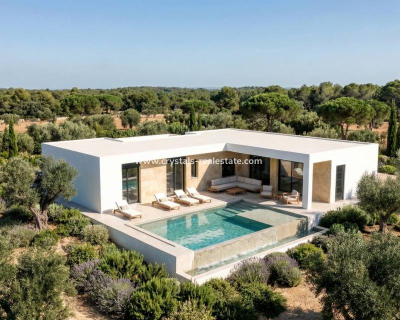 New Build - villa - Pinoso - Casas Pastor