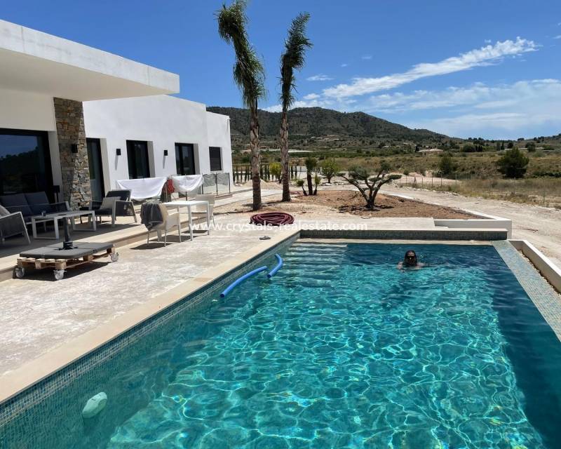 New Build - villa - Pinoso - Casas Pastor