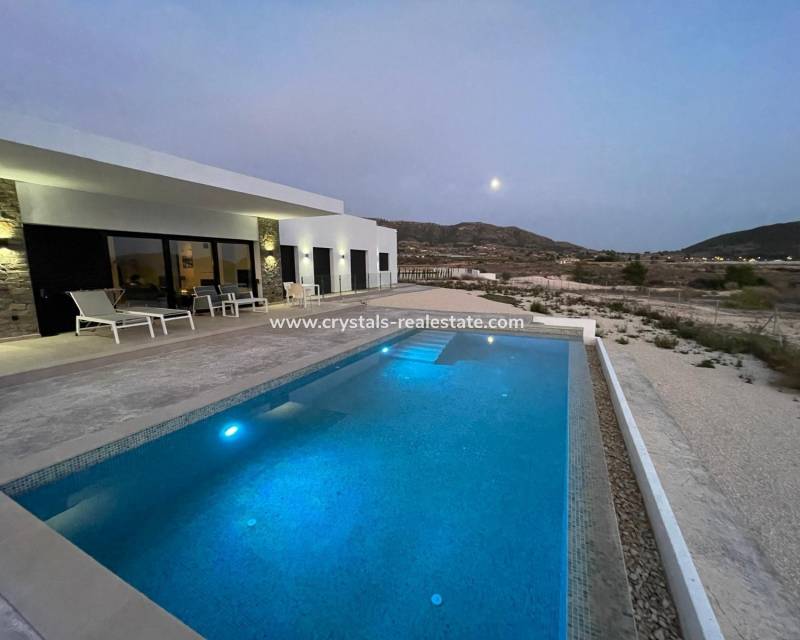 New Build - villa - Pinoso - Casas Pastor