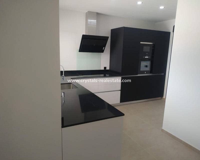 New Build - villa - Pinoso - Casas Pastor