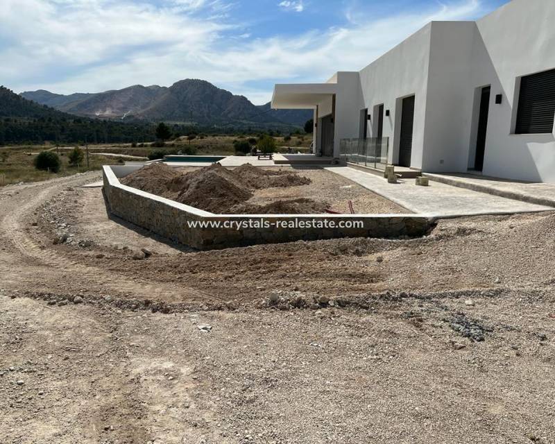 New Build - villa - Pinoso - Casas Pastor