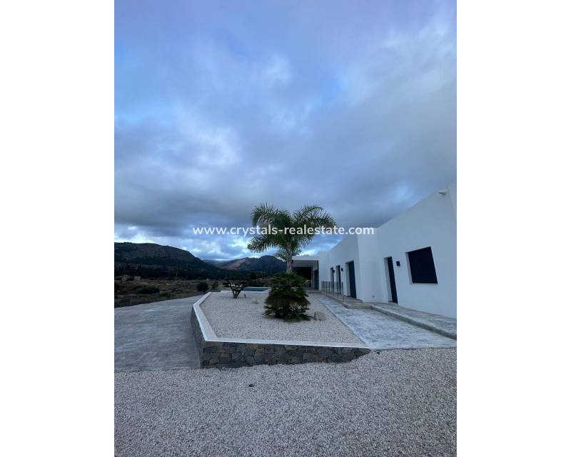 New Build - villa - Pinoso - Casas Pastor