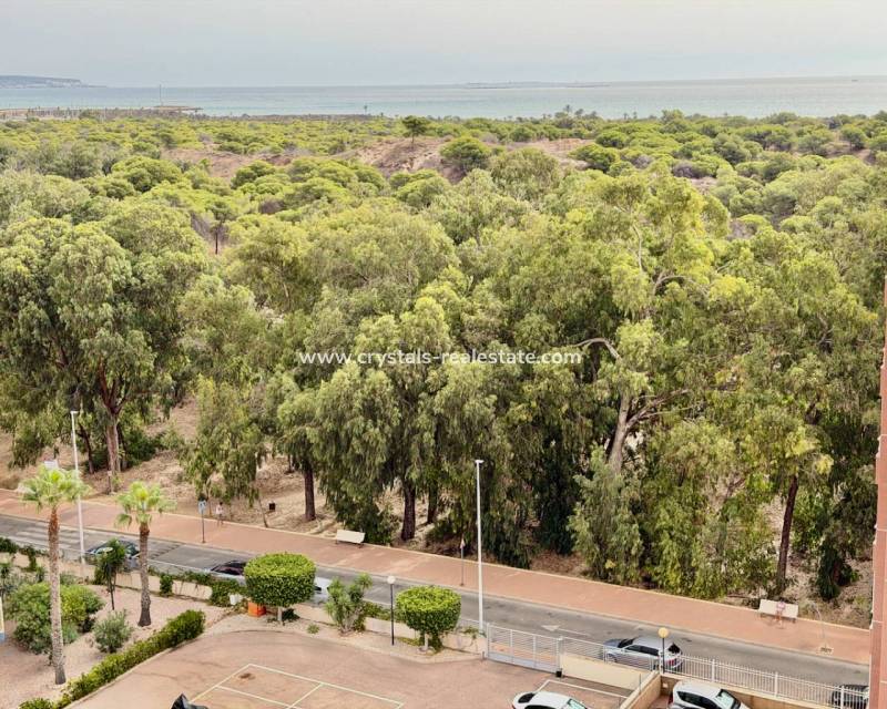 Bestaande woningen - Appartement - Guardamar del Segura