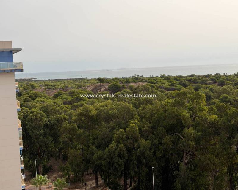 Bestaande woningen - Appartement - Guardamar del Segura