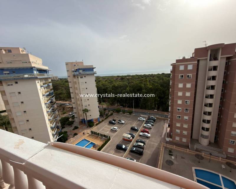 Bestaande woningen - Appartement - Guardamar del Segura