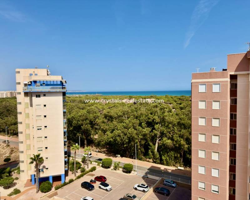 Bestaande woningen - Appartement - Guardamar del Segura