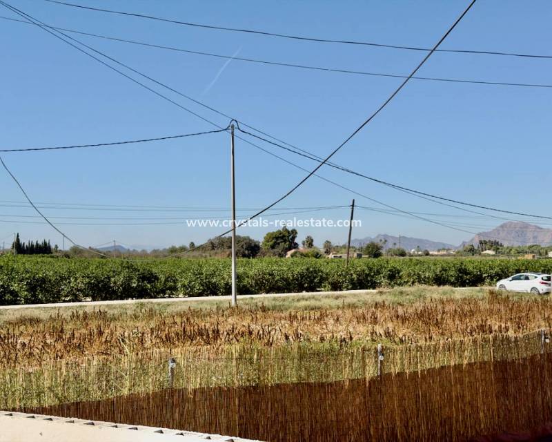 Resale - Finca / Country Property - Dolores - Comunidad Valenciana