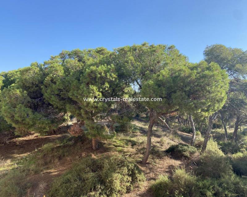 New Build - Apartment - Guardamar del Segura - Centro
