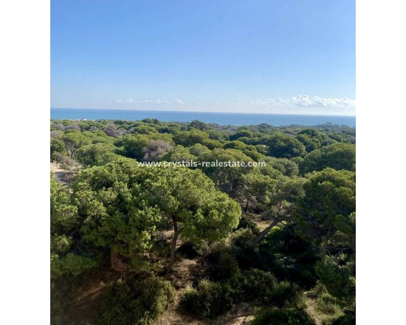 New Build - Apartment - Guardamar del Segura - Centro