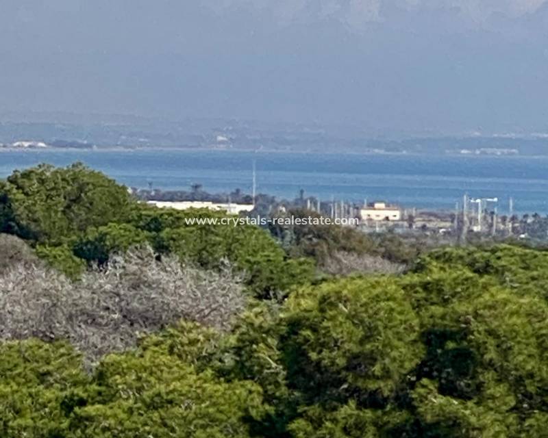 New Build - Penthouse - Guardamar del Segura - Centro