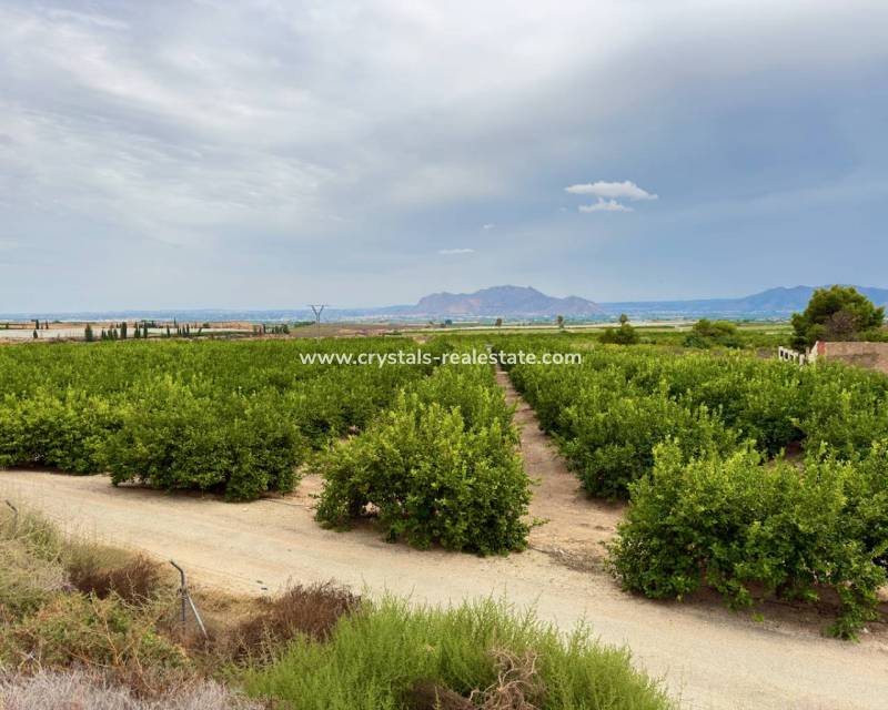 Wiederverkauf - Finca / Country Property - La Murada