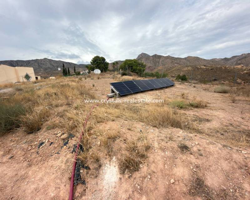 Wiederverkauf - Finca / Country Property - La Murada