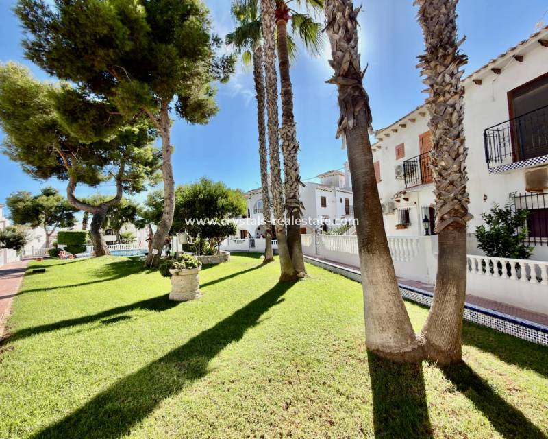Venta - Apartamento - Torrevieja