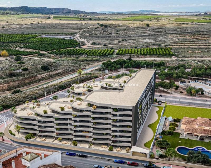 Neubau - Penthouse - San Miguel de Salinas - Pueblo