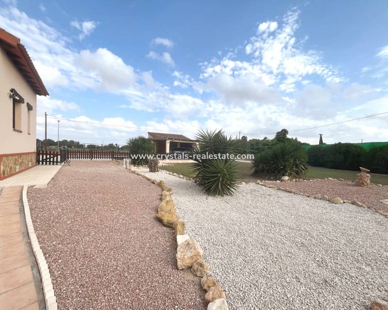 Revente - villa - Daya Vieja
