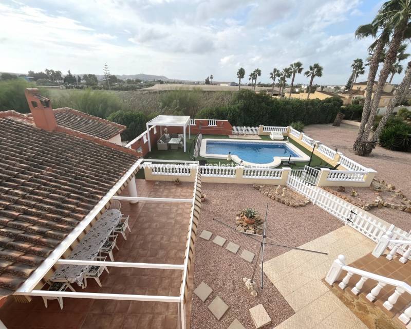 Revente - villa - Daya Vieja